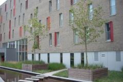 hardhout boombakken + haagbakken op maat (project te Brugge) 001 (groot)